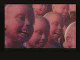 laughing zoomers