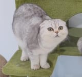 awwwww