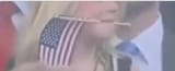 flagbiter