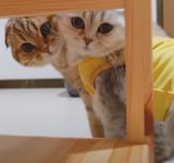 awwwwwwww