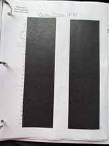 1727621338976831