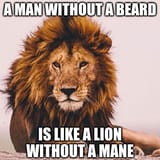 beard