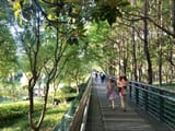 shanghaipark