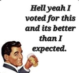 I voted for this