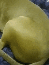 1691714255168125
