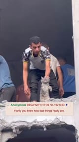 gaza cat