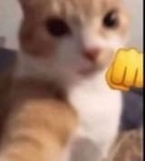 8962rd
