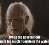 1739504652269981