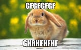 gfgfgfgf-ghrhfhfhf