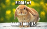 riddle-2-rabbit