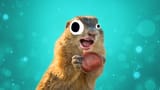 77156_work-nuts
