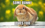 some-bunny-loves-lbxgxb