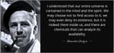 shulgin