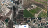 weirdshit zoomed out