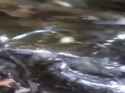 20250615_00321_thumb.jpg