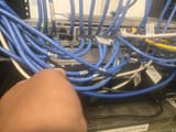 17499628423818316999101815514766