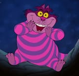 cheshire