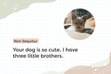 ThreeLittleBrothers