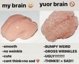 DAS_BRAIN