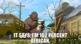 102_percent_african
