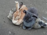 bunday is stacking up