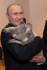 Putin meeting with Australian president