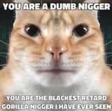1733279463781989