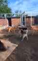 video_565625983714722084-g6xpqeqc_thumb.jpg
