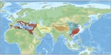 Major_powers_in_Eurasia_around_555AD