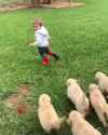1747176417627554_thumb.jpg