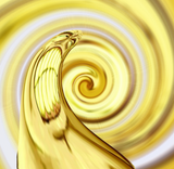 lmaothruwormhole