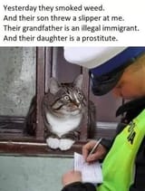 a979866976976779