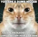 Dumb nigger
