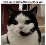 1683226674179961