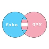 fake and gay