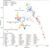 Principal-Component-Analysis-PCA-on-all-present-day-west-Eurasians-with-ancient-samples