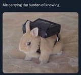 bun the burden of knowing 