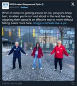 nhs_penguins