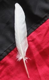 11.-white-feather