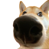 1744236980058342