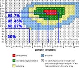 penis-size-study