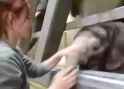 1616312756548_thumb.jpg