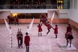 picaria-real-gala-de-jan-2019-cre-ditos-luis-duarte-7