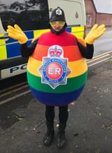 gayegg
