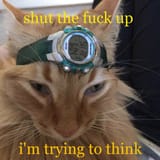 kot think