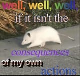 1751103538081509