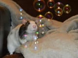 img_1_1744691954804