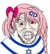 Negev wojak