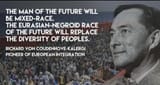 jewkalergi11