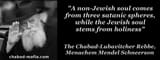 895202766-chabad-rebbe-racist